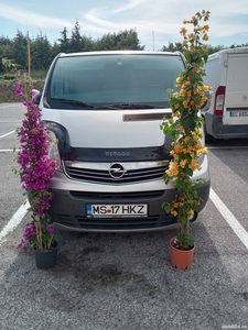 De vanzare. opel vivaro