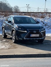 Lexus Seria NX 300h AWD Business Plus