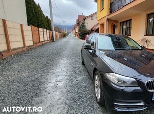 BMW Seria 5 520d Touring Aut. Luxury Line