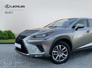 Lexus Seria NX 300h AWD Business