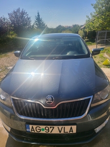 vand Skoda rapid hatchback