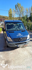 Mercedes Sprinter 313 CDI