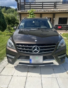 Mercedes-Benz ML 250 BlueTec 4MATIC Aut