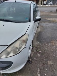 Vand Peugeot 206plus +