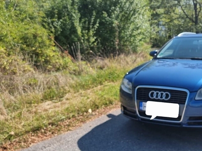 Audi A4 B7 2.0 TDI Hateg