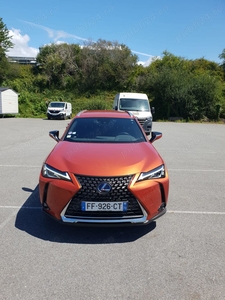 LEXUS UX 250h luxury 4x4 Hybrid