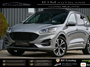 Ford Kuga 2.0 EcoBlue 4x4 Aut. ST-LINE X