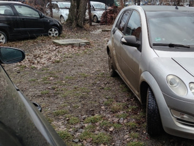 Smart forfour benzina