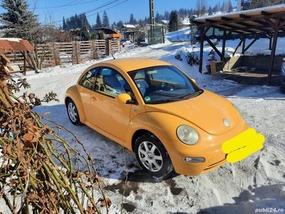 autoturism beetle