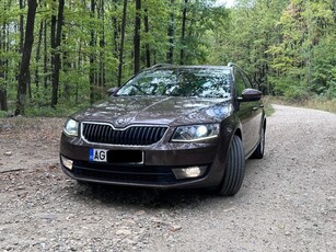 Skoda Octavia Greenline 1.6TDI 81kw 110CP