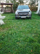 vand mercedes ml 250