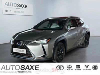 Lexus UX 250h Style Edition CarPlay SHZ Bi-LED Klima