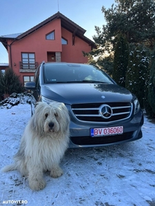 Mercedes-Benz V 250 (BlueTEC) d lang 4Matic 7G-TRONIC Avantgarde Edition