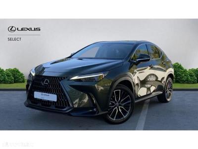 Lexus Seria NX Options : Airbag lateral pasager