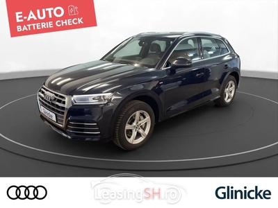 Audi Q5 50 TFSIe qu. S line Xenon LM 18