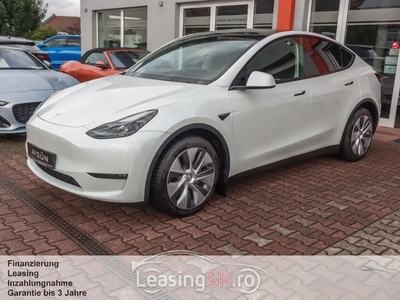 Tesla Model Y Long Range Dual AWD - Panorama