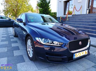 Jaguar XE E-Performance Aut. Portfolio