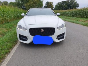 Jaguar XF 20d AWD Sportbrake Aut. R-Sport