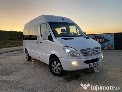 Mercedes sprinter 313