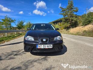 Seat Ibiza 2008 masina