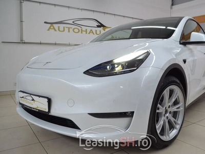 Tesla Model Y Long Range Dual Motor AWD ~ LEDER