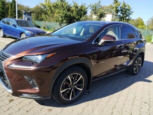 Lexus Seria NX 300h AWD Business Plus