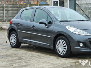 Peugeot 207+ An 2013/10 1.4 benzina