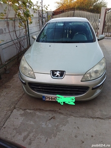 Vand Peugeot 407