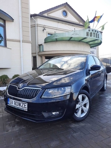 Skoda Octavia / BiXenon / Dublu Climatronic / ParkAssis Falticeni