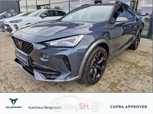 Cupra Formentor VZ 2.0 TSI 4X4 DSG*Beats*5Jah-Gar*19Zo