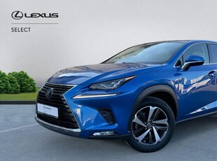 Lexus Seria NX 300h AWD Luxury