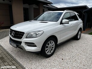 Mercedes-Benz ML 250 BlueTec 4MATIC Aut