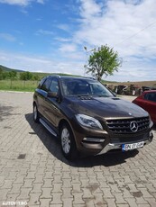 Mercedes-Benz ML 250 BlueTec 4MATIC Aut