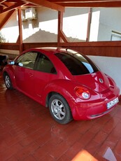 Vand WW NEW beetle