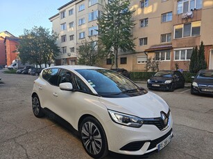 Renault Scenic 2019 luna 09