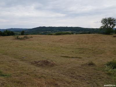 Vând teren în satul Drăghici, comuna Mihăesti, Judetul Arges !