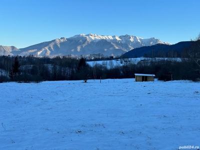 Teren intravilan loturi intre 500 si 2500 mp in zona Bran-Tohanita cu priveliste catre muntii Bucegi