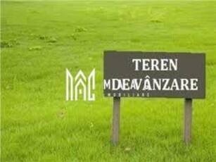 Teren | 3600 Mp| Intravilan |