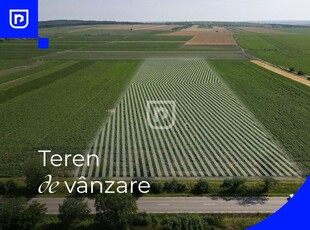 Teren - Oraseni Deal, Curtesti | BOTOSANI | 20.400mp