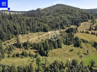 Teren - Poiana Micului | BUCOVINA