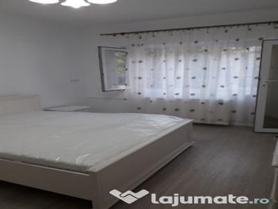 Inchiriere apartament cu o camera Buziasului