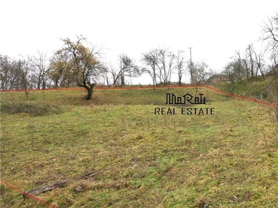 1696 mp teren intravilan Tarnita, Comuna Buces, Hunedoara, Apuseni