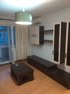 Apartament 2 Camere-Alexandru cel Bun