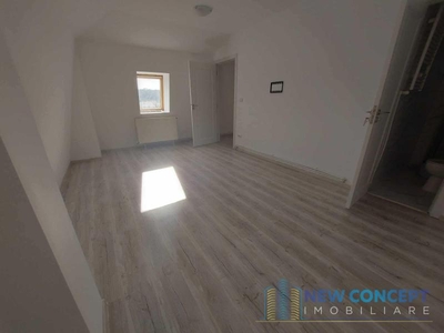 Apartament 3 camere zimbru