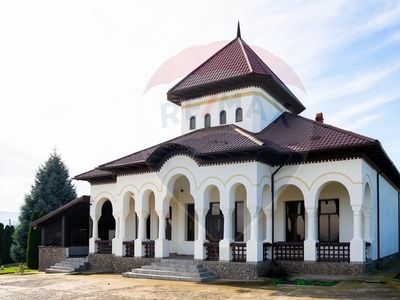 Casavila 10 camere vanzare in Vaslui, Todiresti