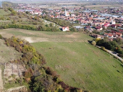 De vanzare terenuri intravilane cu PUZ la Curteni