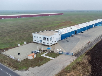 Spatiu industrial 3700 mp inchiriere in Hală, Bucuresti Ilfov, Sindrilita