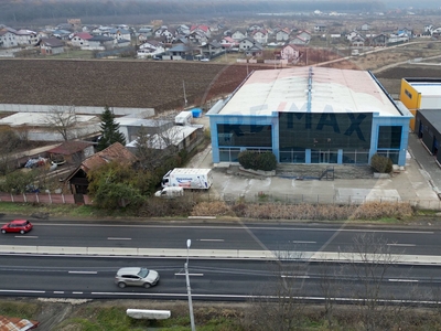Spatiu industrial 7400 mp vanzare in Hală, Bucuresti Ilfov, Ciolpani