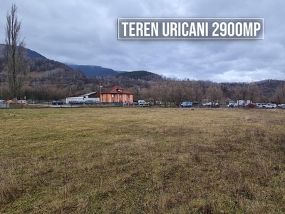 Teren, 2900mp, in Uricani