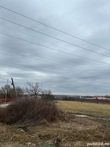 vand teren 6000 mp (Făget, județul Timiș)